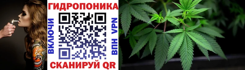 Конопля Каспийск