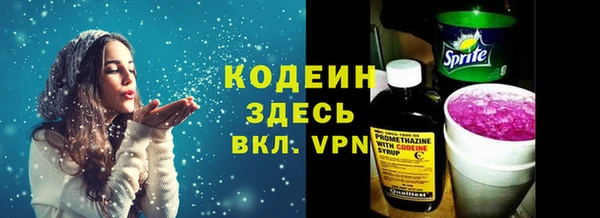 ешки Аркадак