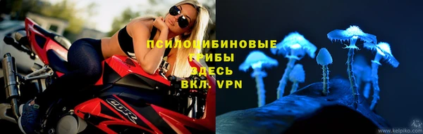 метадон Арсеньев
