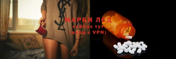 ешки Аркадак