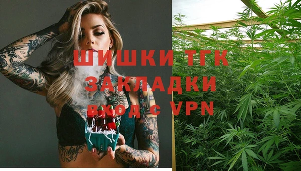 ешки Аркадак