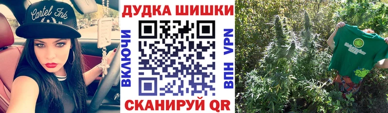 сколько стоит  Каспийск  Каннабис ГИДРОПОН 